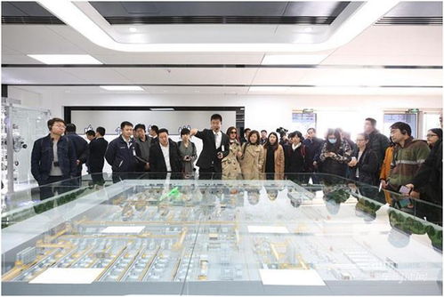 驻马店广视网推出商务信息咨询服务平台 助力本地企业高质量发展