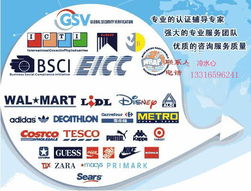 高效对接，精准匹配——专业商务信息咨询服务采购指南